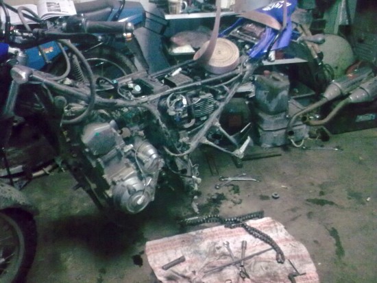 22012009_018.jpg