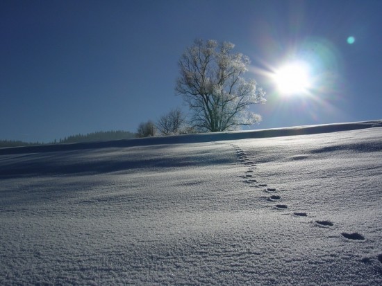 DSCN3718.jpg