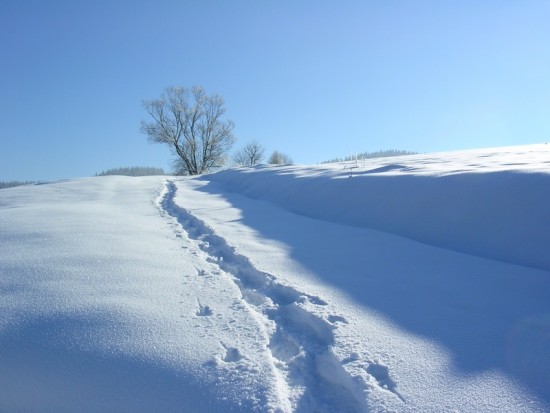 DSCN3720.jpg