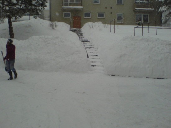 DSC03368.JPG