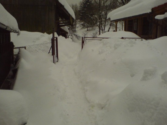 DSC03374.JPG
