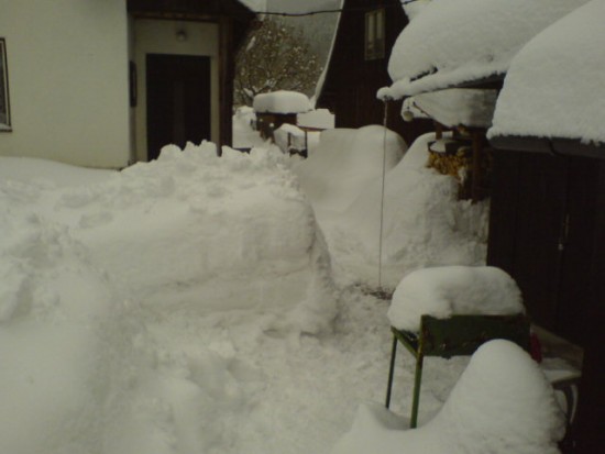 DSC03375.JPG
