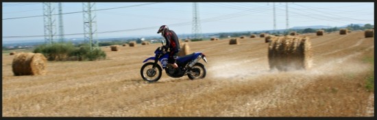 Kopie - IMG_9661.jpg