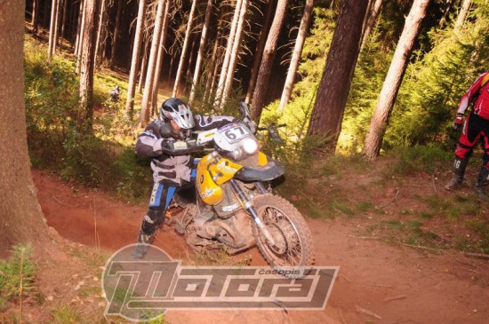 MTR_8517[1].jpg