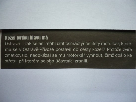 P1040235.JPG